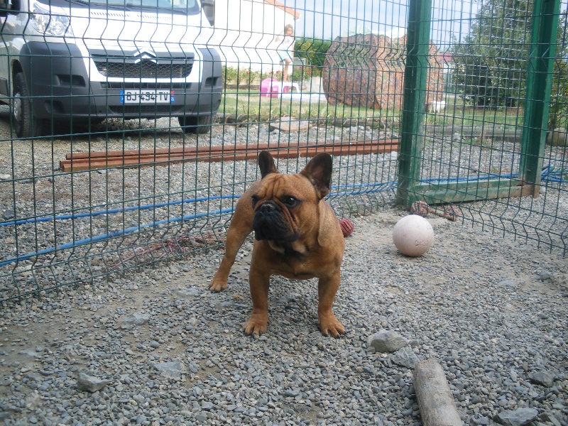 Formidable des Gamins de Rubis