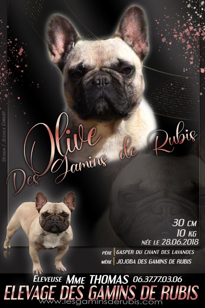 Olive des Gamins de Rubis