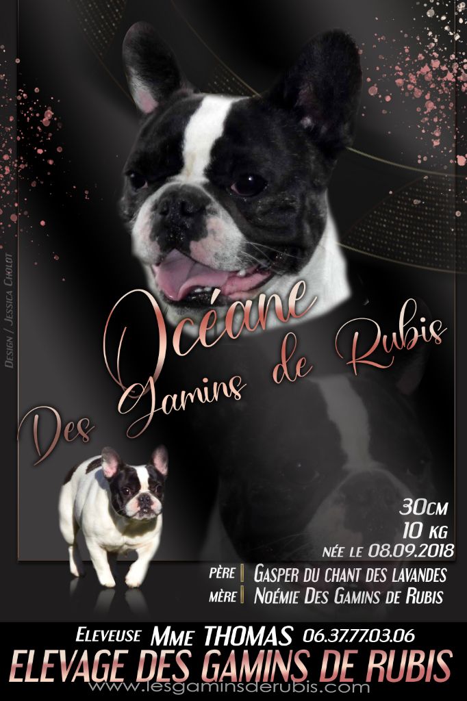 Océane des Gamins de Rubis